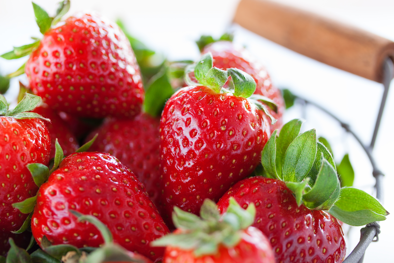 PonPonYAMA Strawberry-高設-
